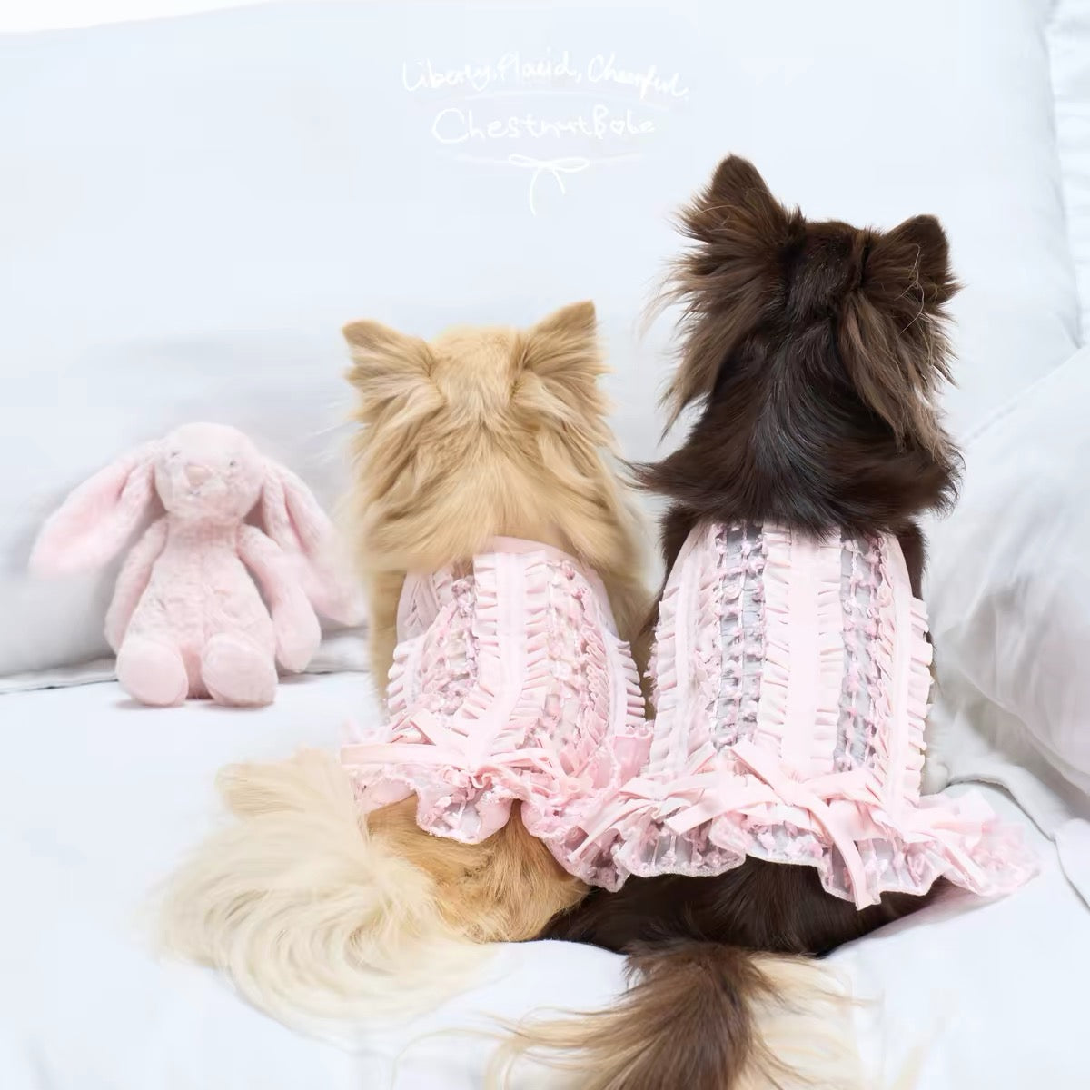 ChestnutBabe Misty Pleated Bow Cami Dress For Dogs