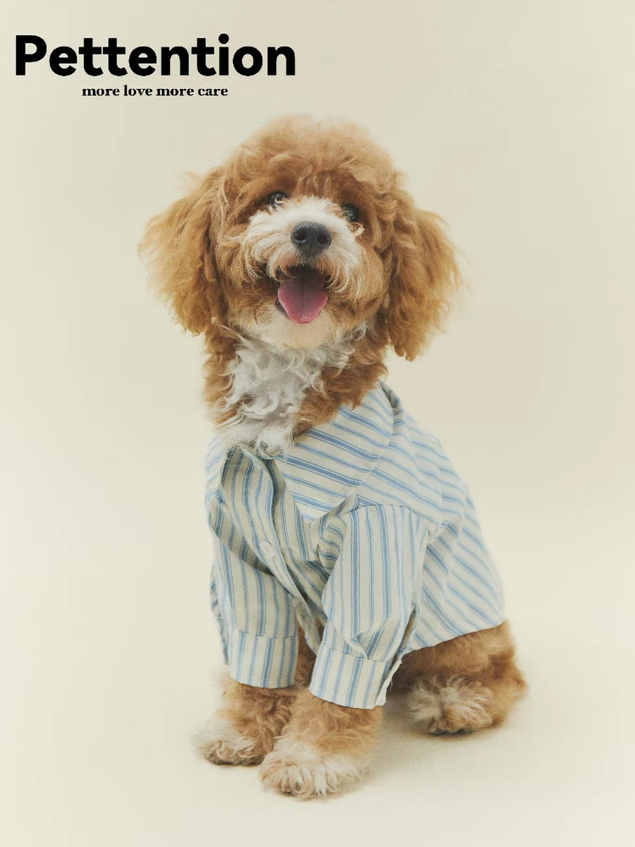Pettention Autumn/Winter Fashion Dog Clothes – Blue Striped Shirt for Small and Medium Dogs (Westie, Teddy, Bichon Frise)
