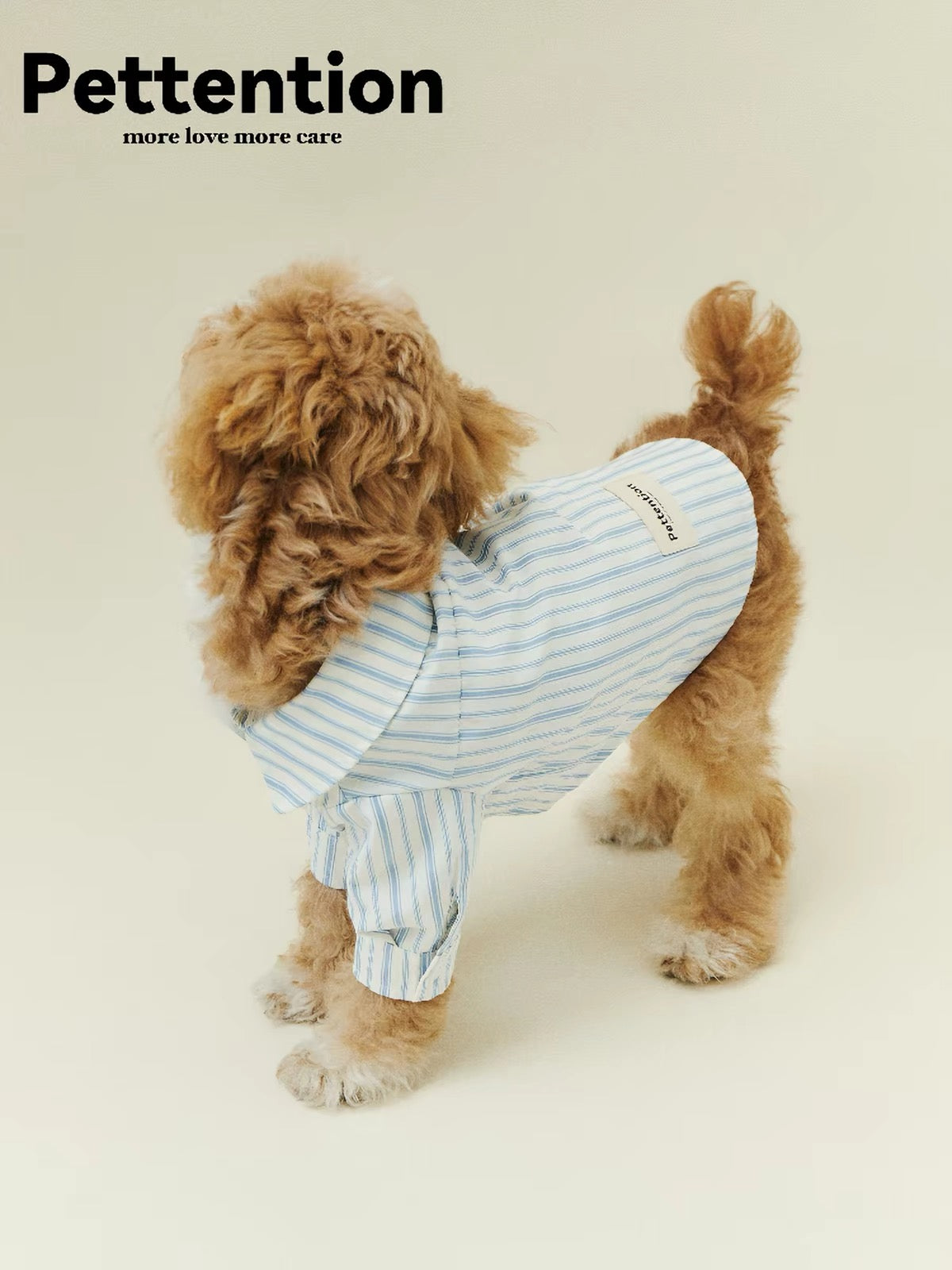Pettention Autumn/Winter Fashion Dog Clothes – Blue Striped Shirt for Small and Medium Dogs (Westie, Teddy, Bichon Frise)