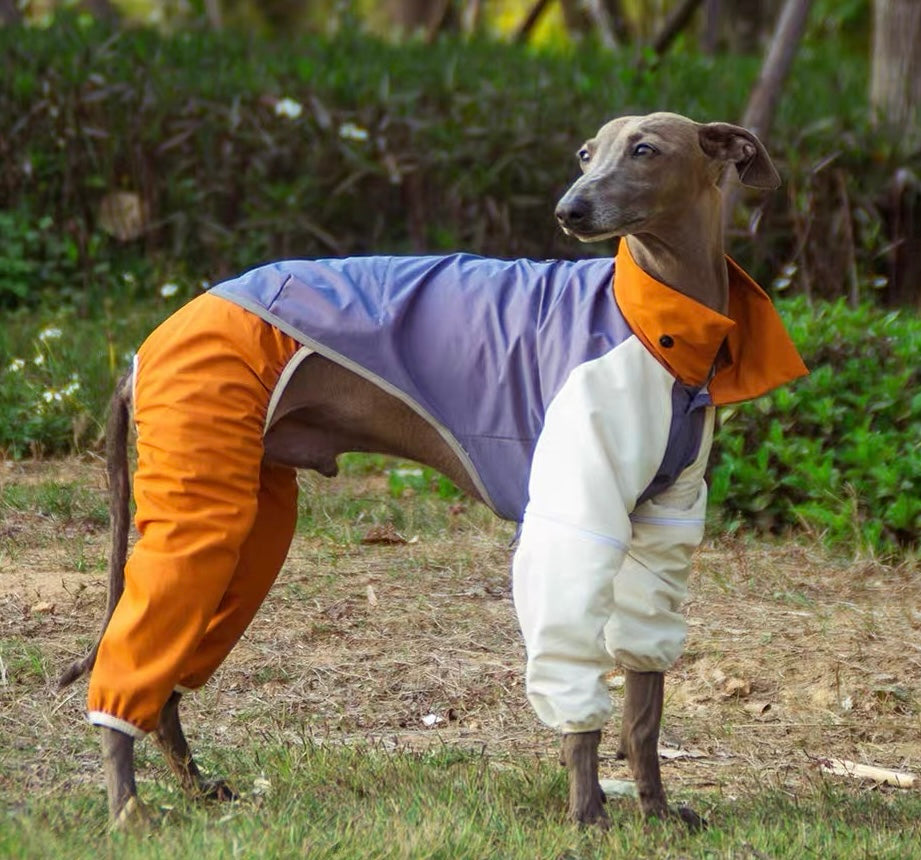 BITEONE Dog Spring/Summer Outdoor Mesh Waterproof & Windproof Sun-Protection Shell Jacket (Removable Design)