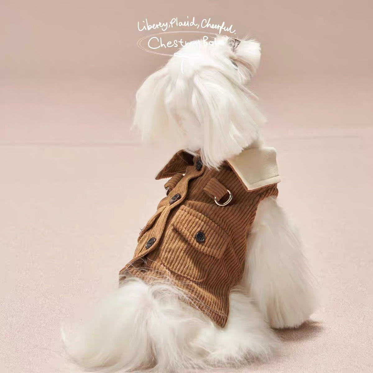 ChestnutBabe Chocolate Crepe Corduroy Jacket Fall/Winter Dog Jacket