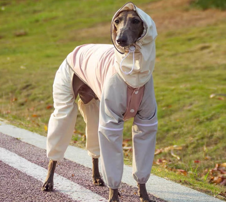 BITEONE Dog Spring/Summer Outdoor Mesh Waterproof & Windproof Sun-Protection Shell Jacket (Removable Design)