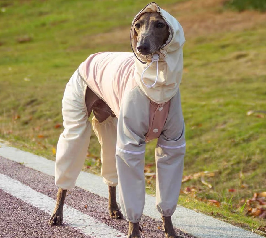 BITEONE Dog Spring/Summer Outdoor Mesh Waterproof & Windproof Sun-Protection Shell Jacket (Removable Design)