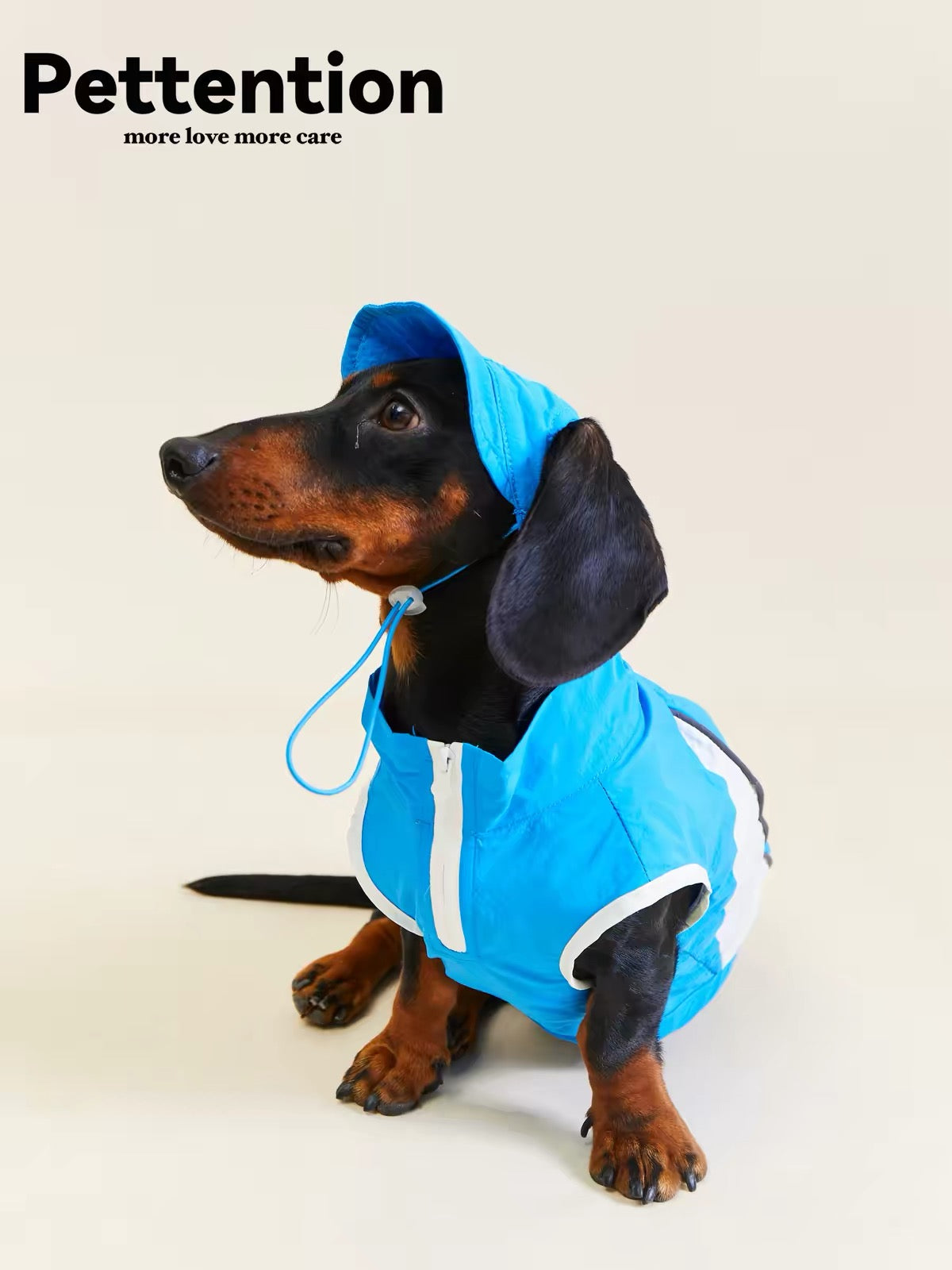 Pettention Adjustable Blue Lightweight Pet Sun Hat for Small & Medium Dogs and Cats