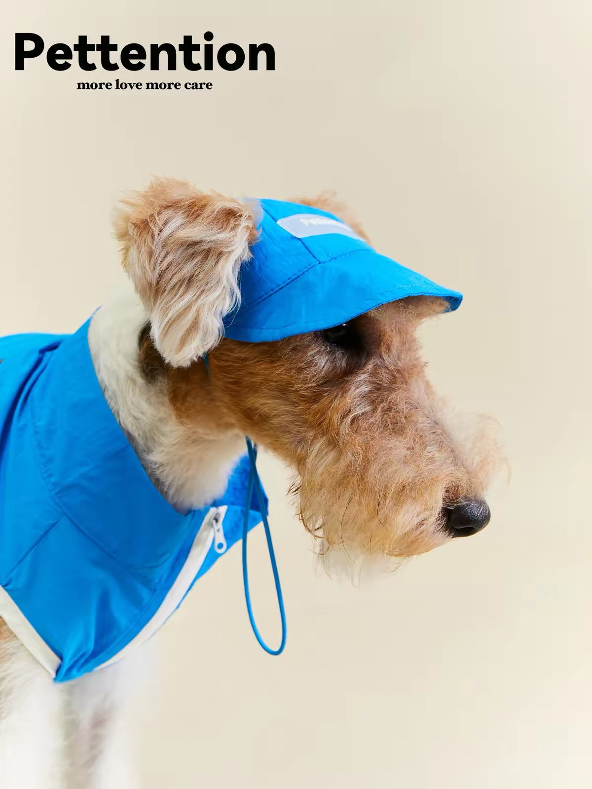 Pettention Adjustable Blue Lightweight Pet Sun Hat for Small & Medium Dogs and Cats