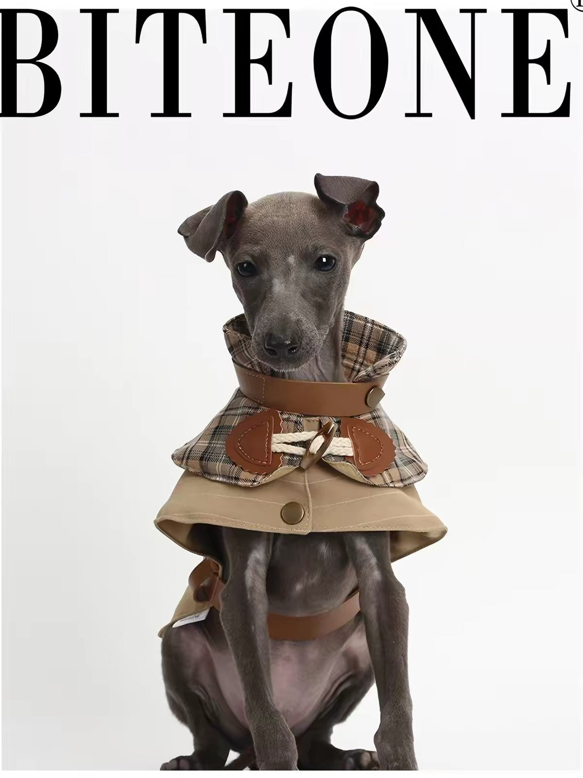 BITEONE 'Dreaming of Baker Street' Spring/Summer Windbreaker for Cats & Dogs (Leash Attachment Compatible)